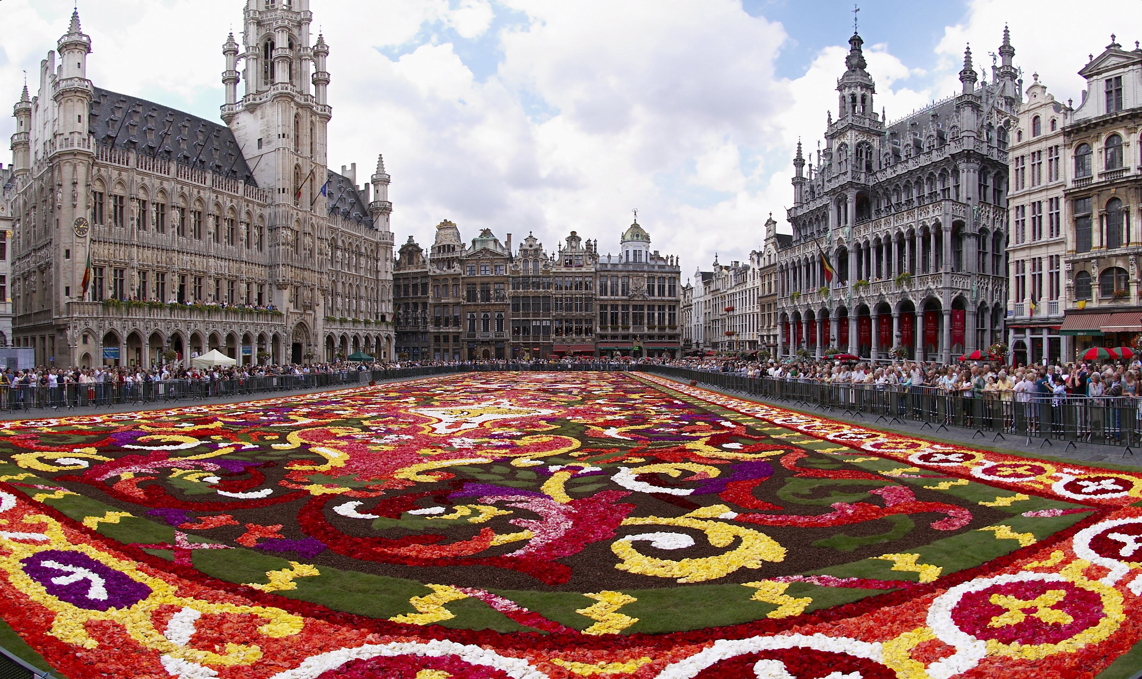 Brussels floral carpet B