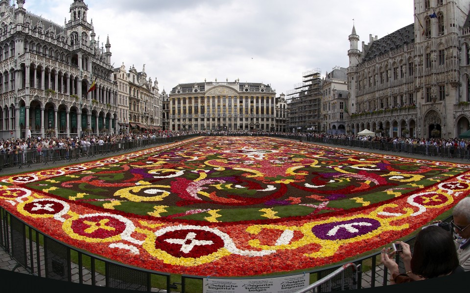 Brussels floral carpet E