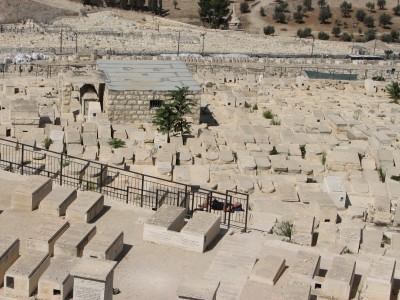 Jerusalem is Israel's largest city (if East Jerusalem is included) in both population and area, with a population of 763,800 residents over an area of 125.1 km2. Located in the Judean Mountains, between the Mediterranean Sea and the northern edge of the Dead Sea. Jerusalem is a holy city to the three major Abrahamic religions— Judaism, Christianity and Islam. In Judaism, Jerusalem has been the holiest city since, according to the Biblical Old Testament, King David of Israel first established it as the capital of the united Kingdom of Israel in c. 1000 BCE, and his son Solomon commissioned the building of the First Temple in the city. In Christianity, Jerusalem has been a holy city since, according to the New Testament, Jesus was crucified in c. 30 CE, and 300 years later Saint Helena identified the pilgrimage sites of Jesus' life. In Sunni Islam, Jerusalem is the third-holiest city.<br>Name of photo's author: Free-Photos.biz<br>This photo was taken in: Jerusalem, Israel