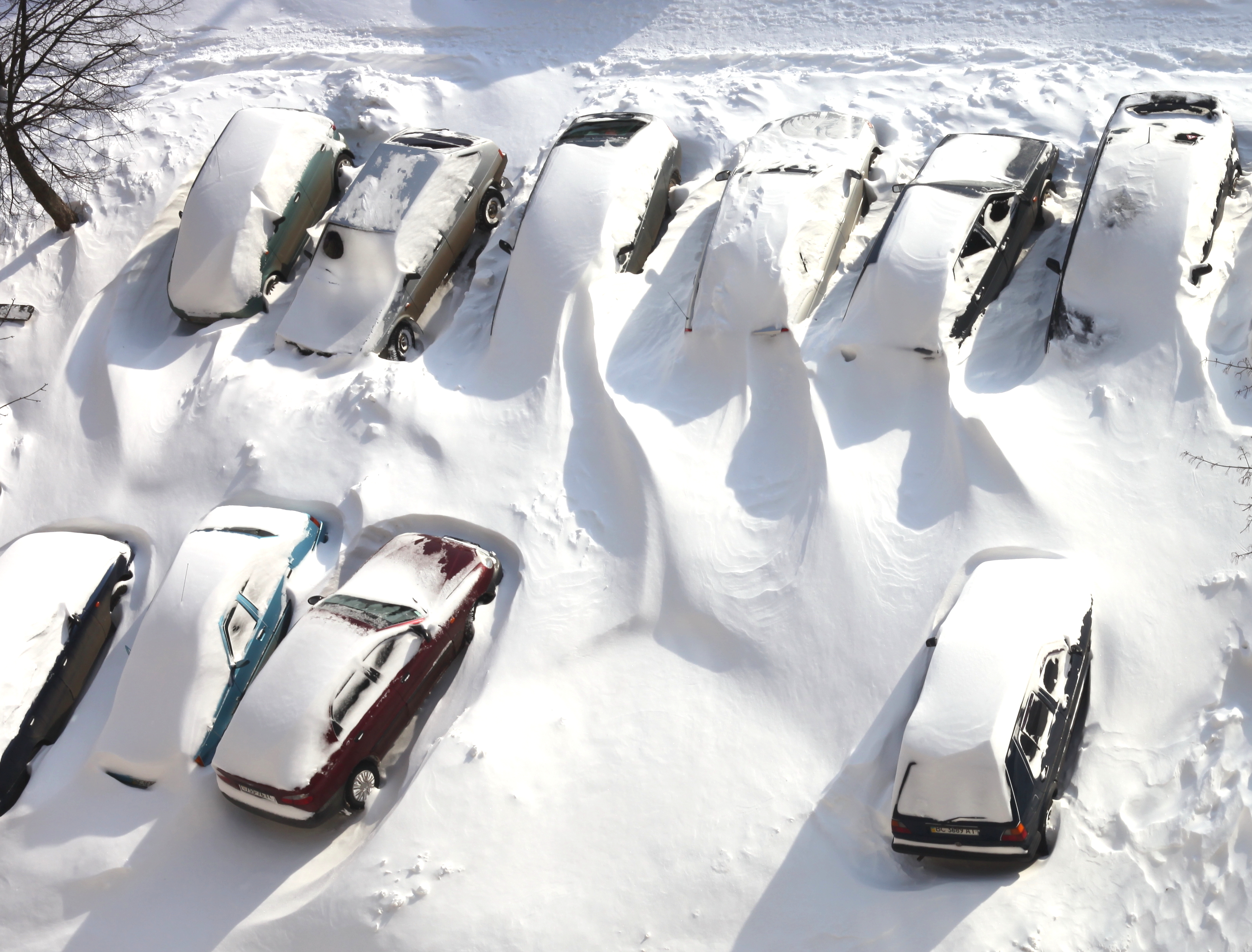 cars covered with snow in Lviv