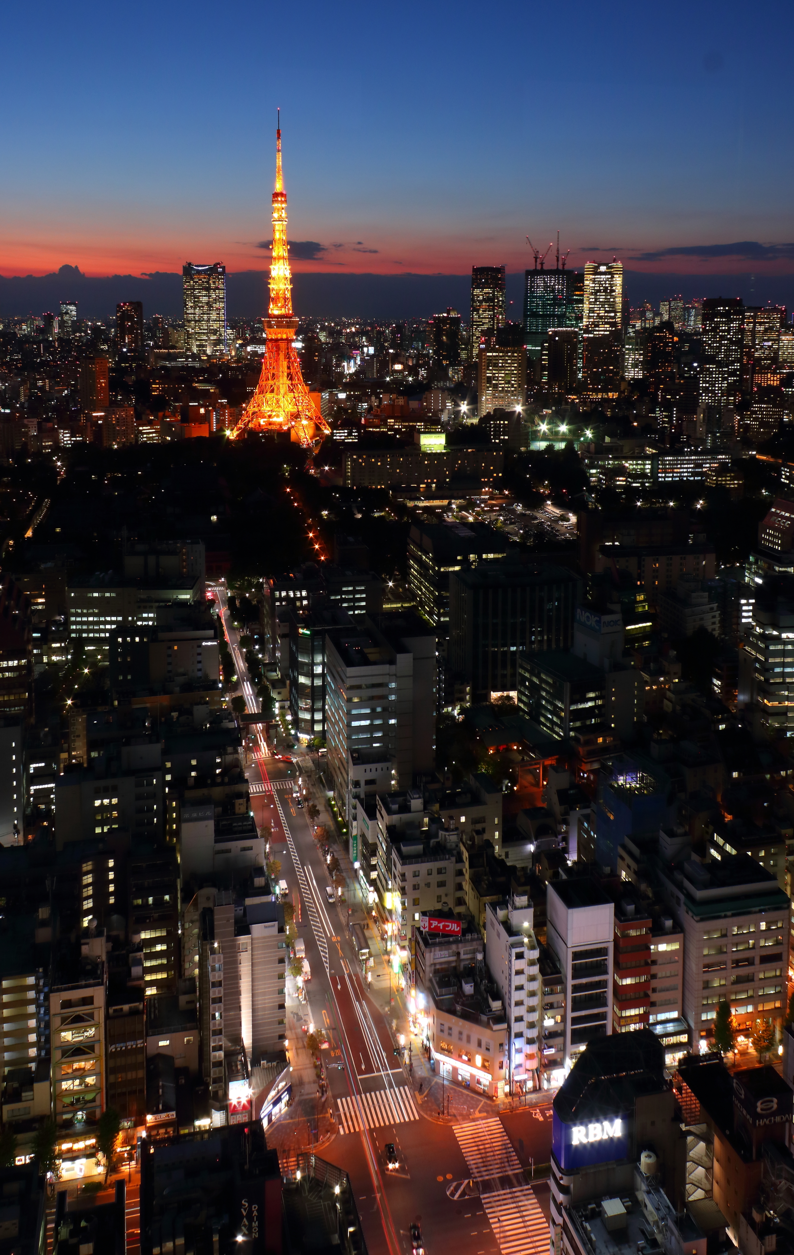 Tokyo Tower Afterglow 9