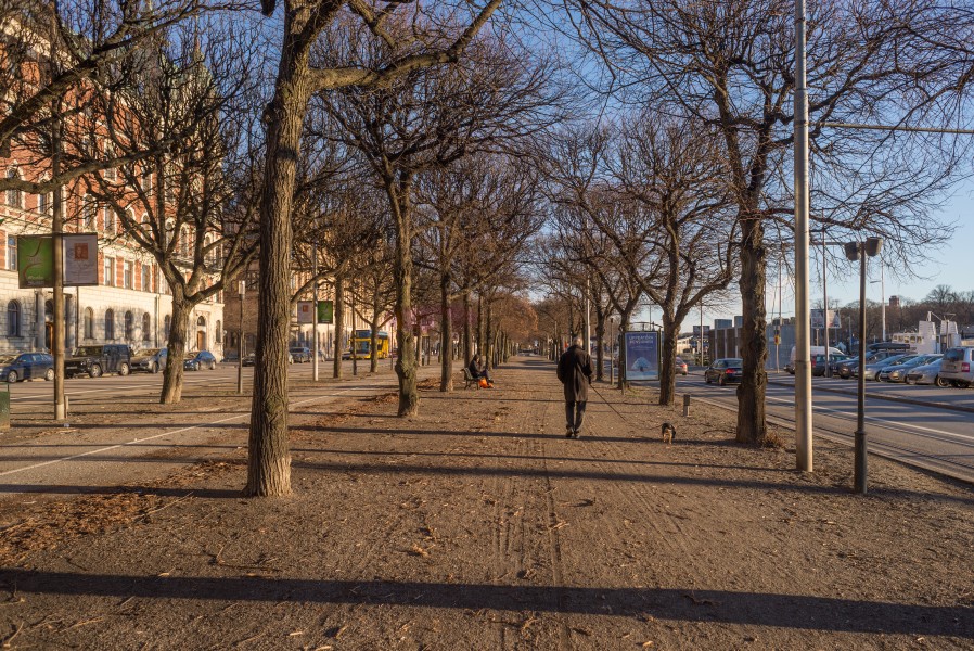 Strandvägen January 2015 01