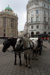 Wien