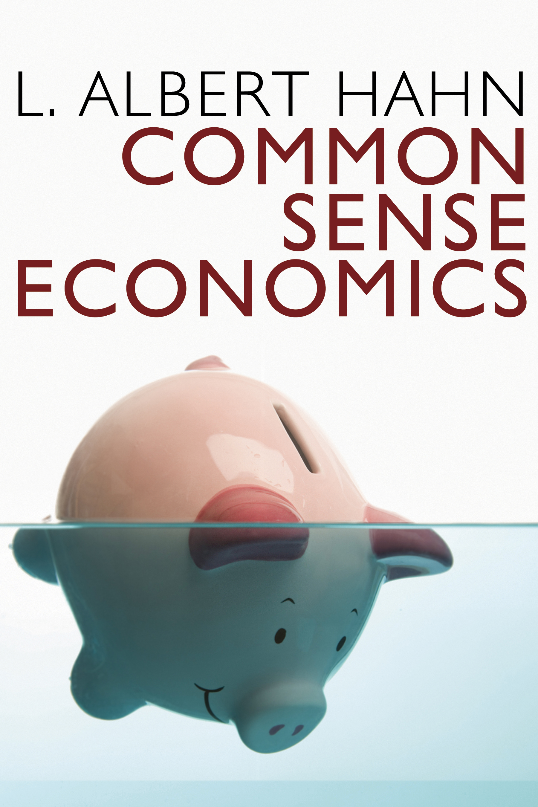 Common Sense Economics (2010 print) cover