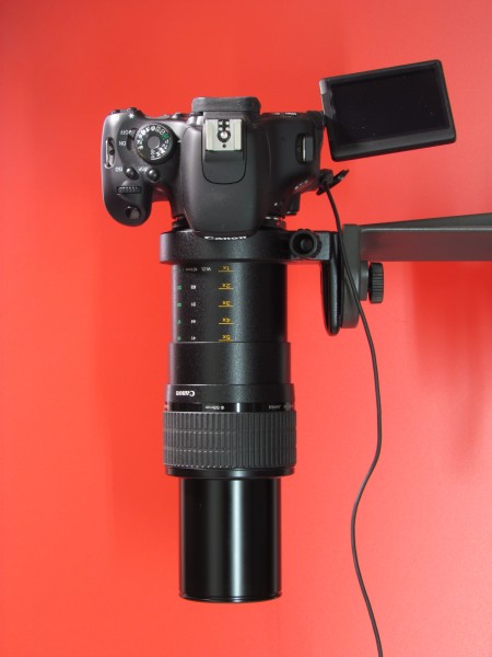 Canon Objektiv MP-E 65mm mit Kamera EOS 600D 06 (fcm)