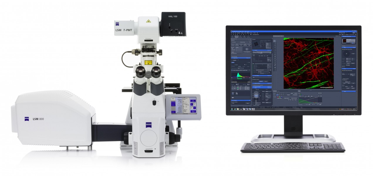 ZEISS LSM 800 with Airyscan- Your Compact Confocal Power Pack (15664982003)
