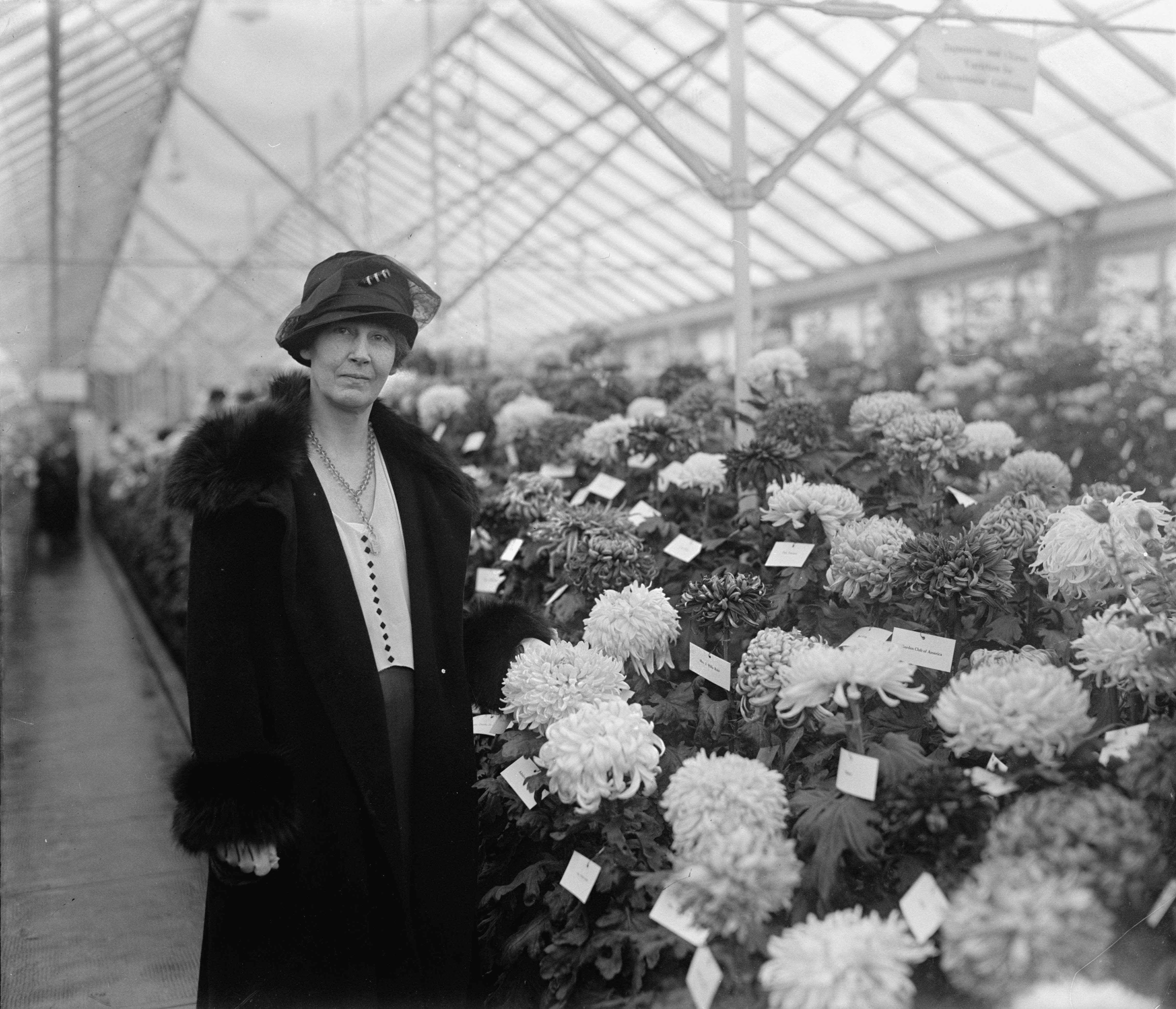 Chrysanthemum show, 1925 Nov 5. (7)