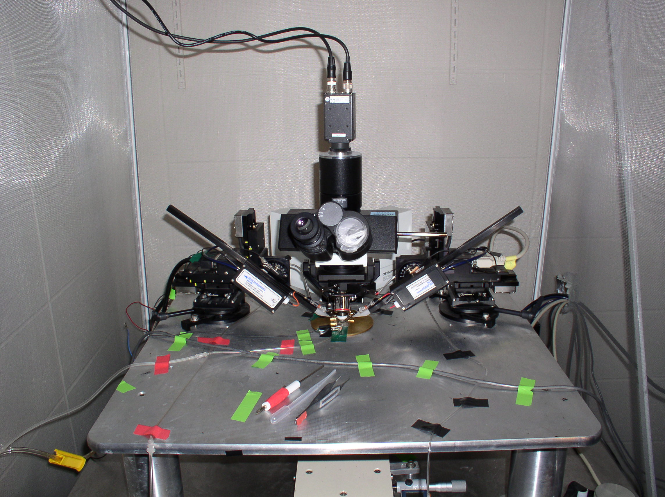 Microscope for Electrophysiological Research shielded by Faraday Cage
