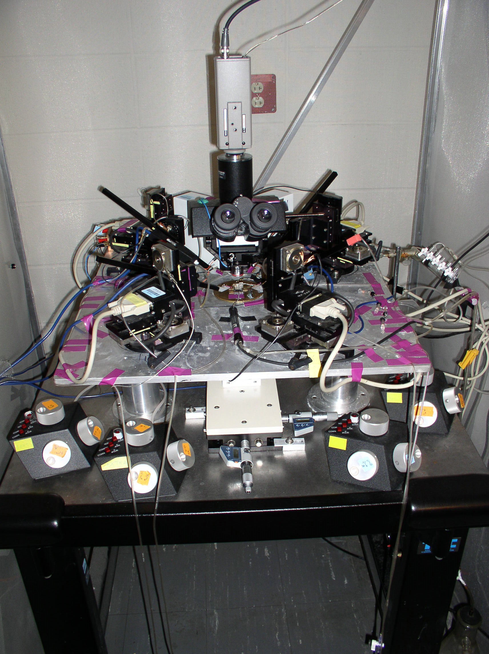 Microscope for Electrophysiological Research shielded by Faraday Cage - (2)