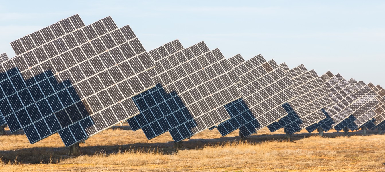 Paneles solares en Cariñena, España, 2015-01-08, DD 13