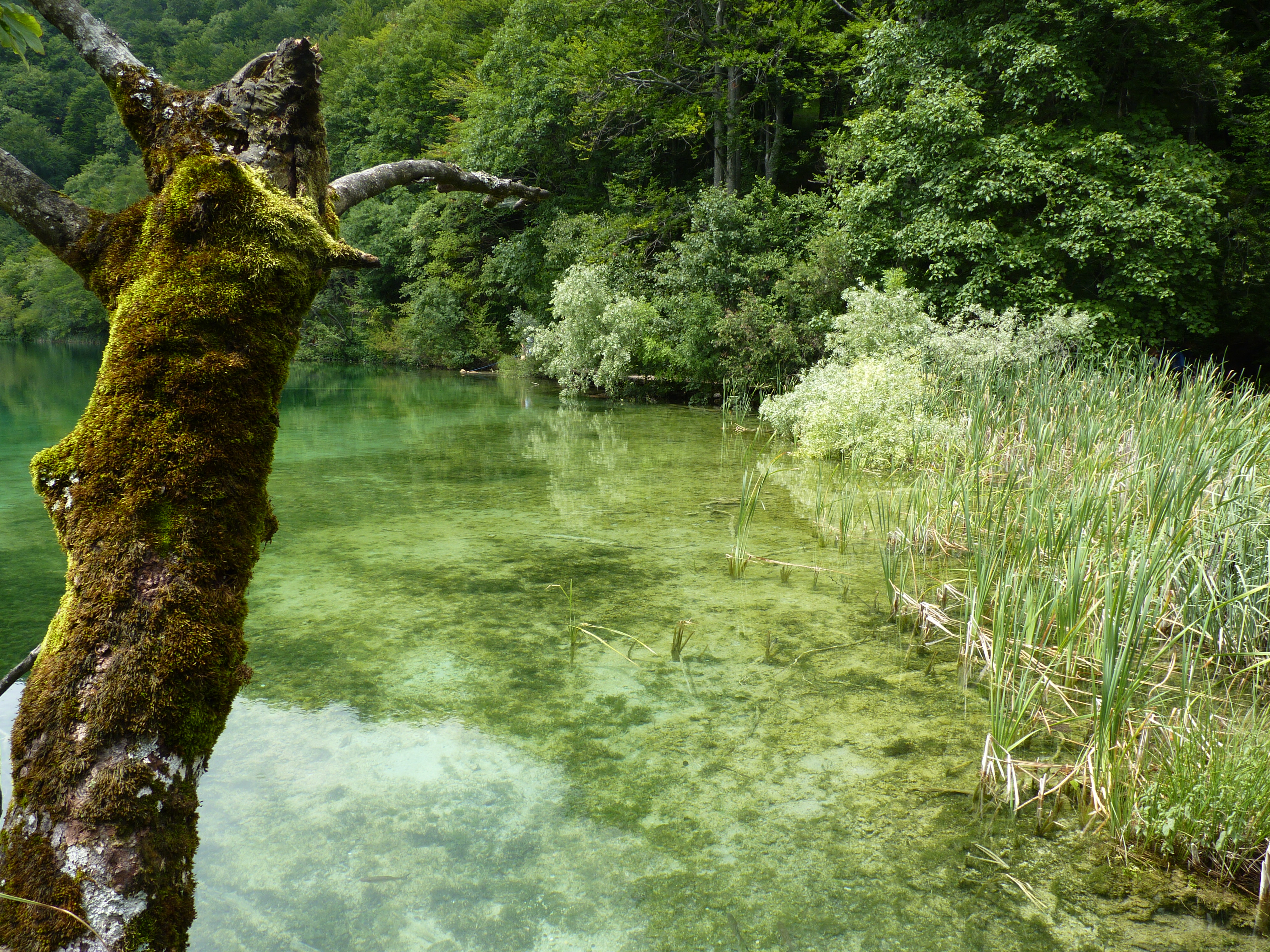 Plitvice Lakes, Croatia, Galovac jezero