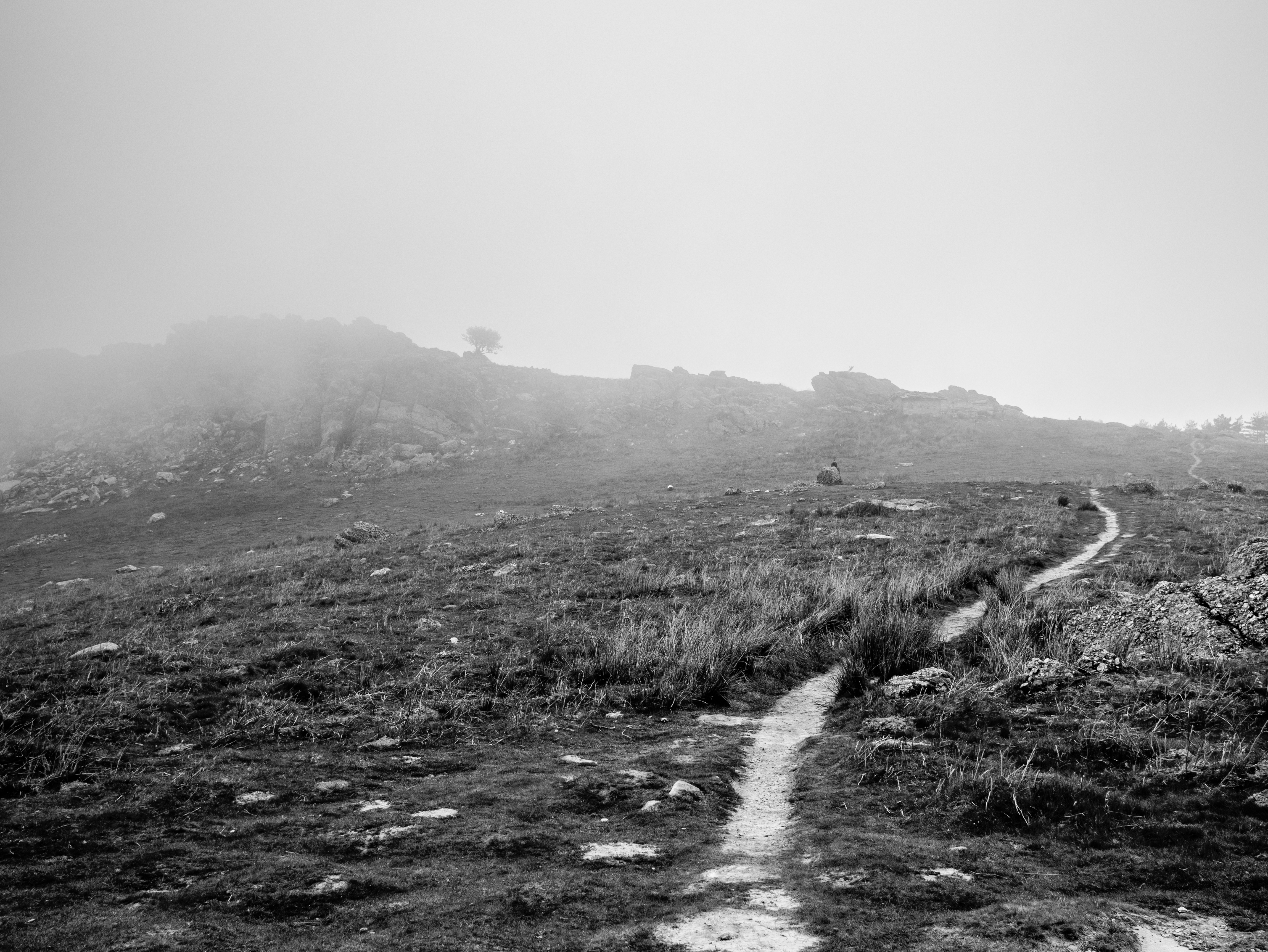 Larrun - Camino por la niebla