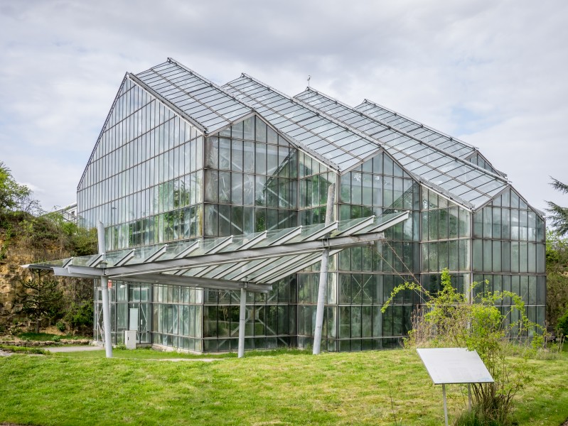 Osnabrück - Botanischer Garten - Tropenhaus 02