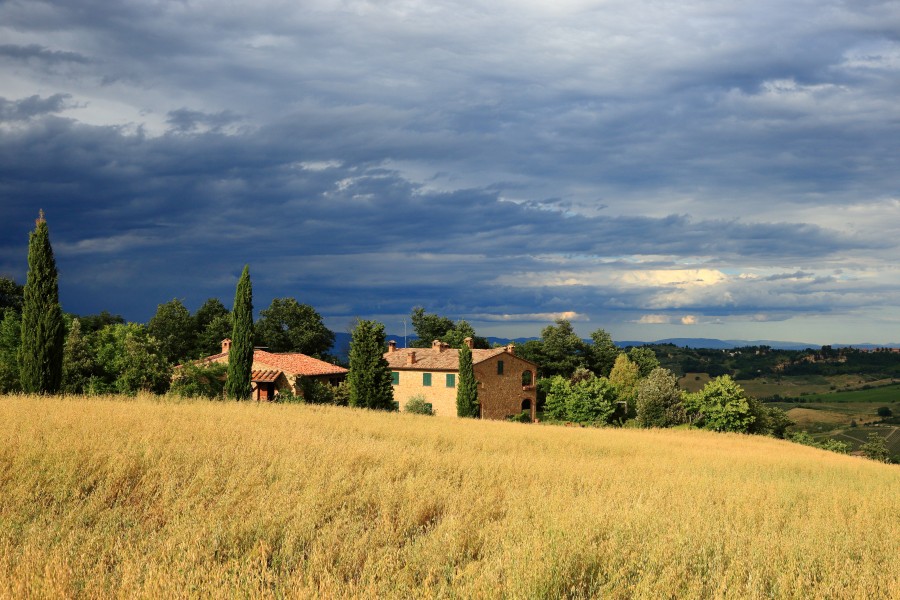 Tuscan Landscape 4