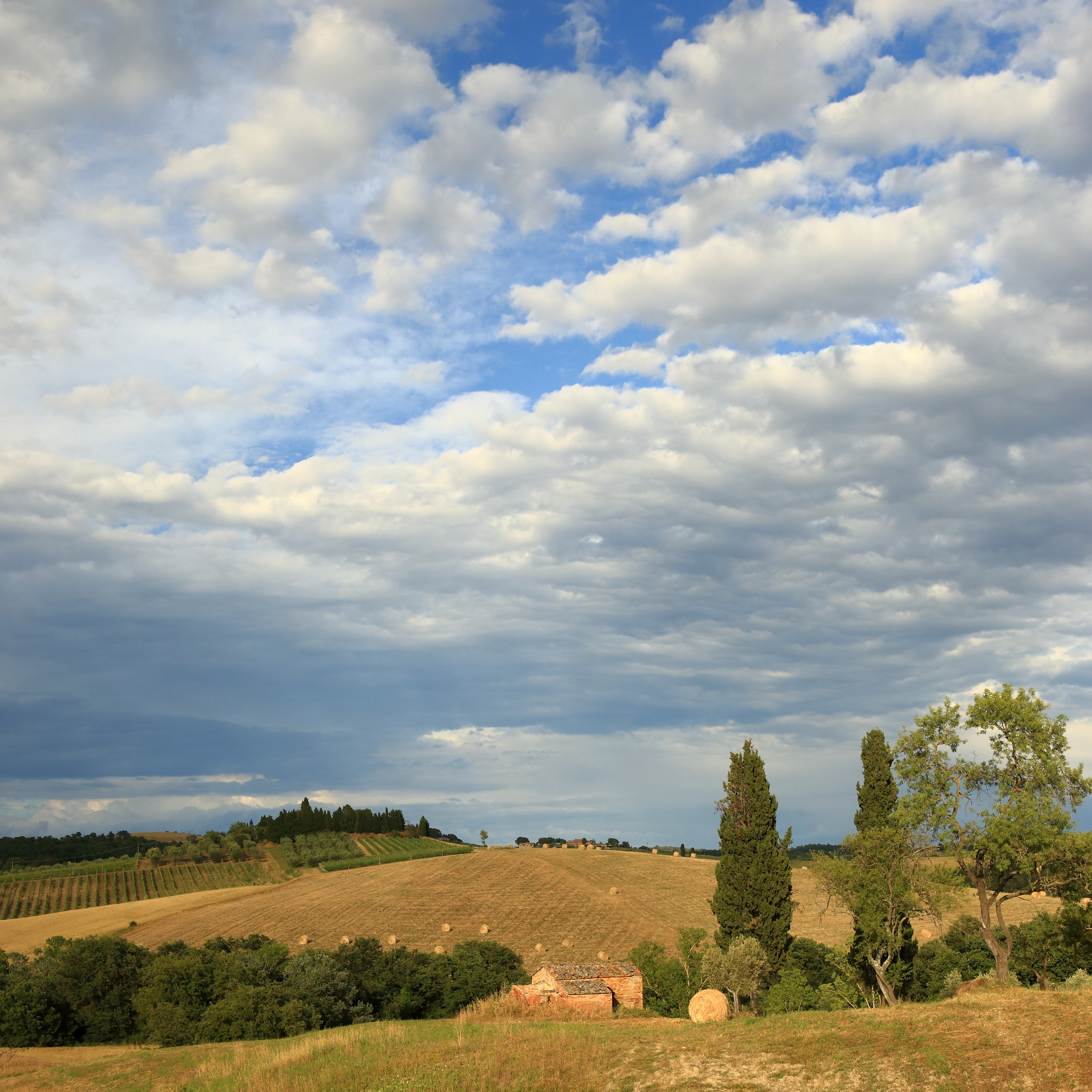 Tuscan Landscape 7