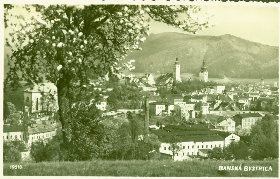 Csehszlovákia. Besztercebánya látképe, hátul balra a Szűz Mária Mennybemenetele templom, jobbra a Barbakán. Fortepan 95960