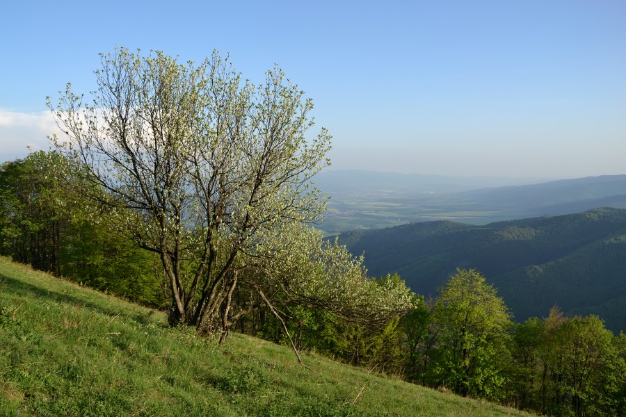 Malá Fatra - view from Reváň
