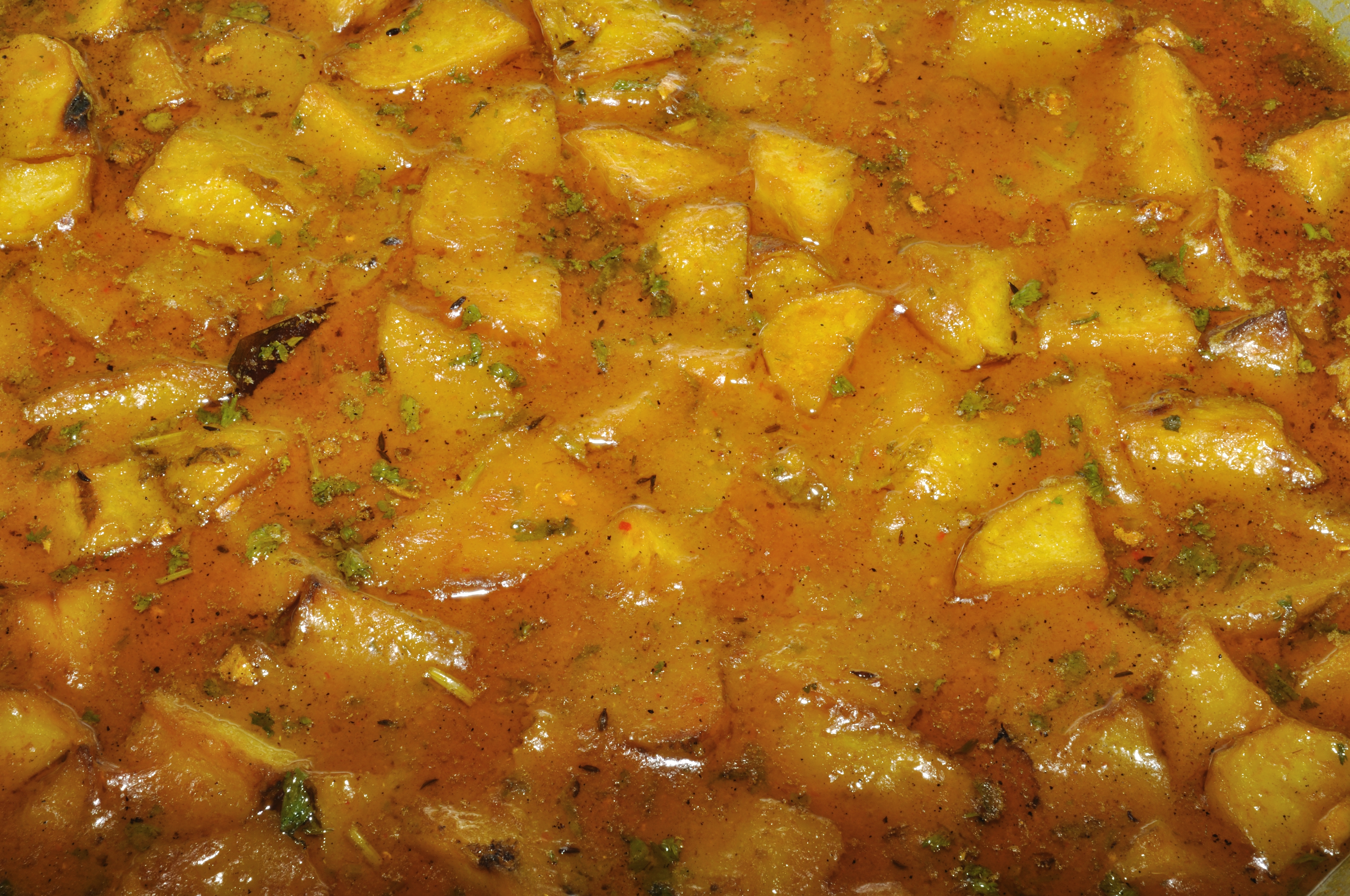 Potato Curry - Kolkata 2011-02-22 1700