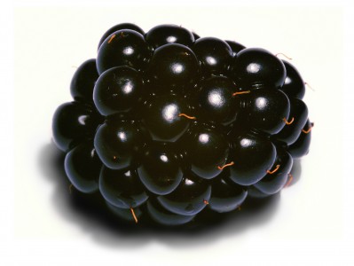 Blackberry close-up