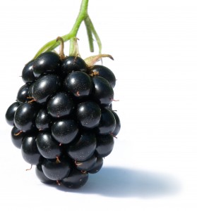 Blackberry