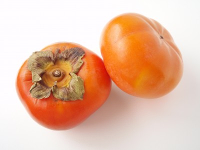 Diospyros kaki 'Jiro' (Persimmon)