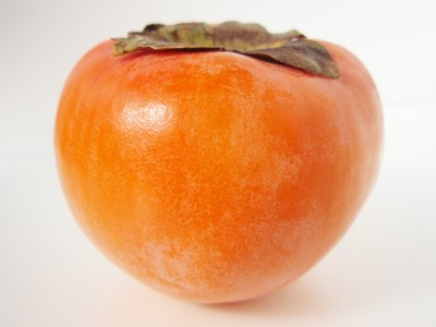 diospyros_kaki__fuyu__20101209_a.jpg