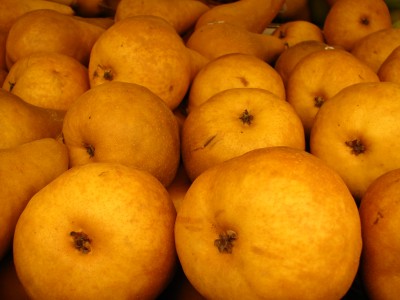 starr_070730-7920_pyrus_communis.jpg