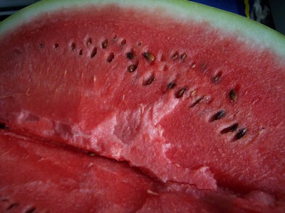 (Watermelon) Citrullus lanatus