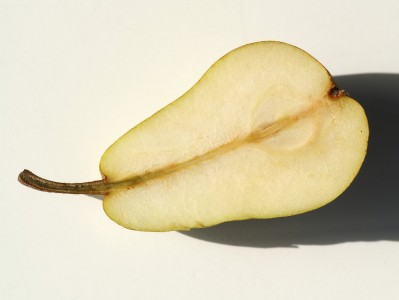 Williamsbirne durch die Mitte aufgeschnitten. Half of a Pear / Pyrus.