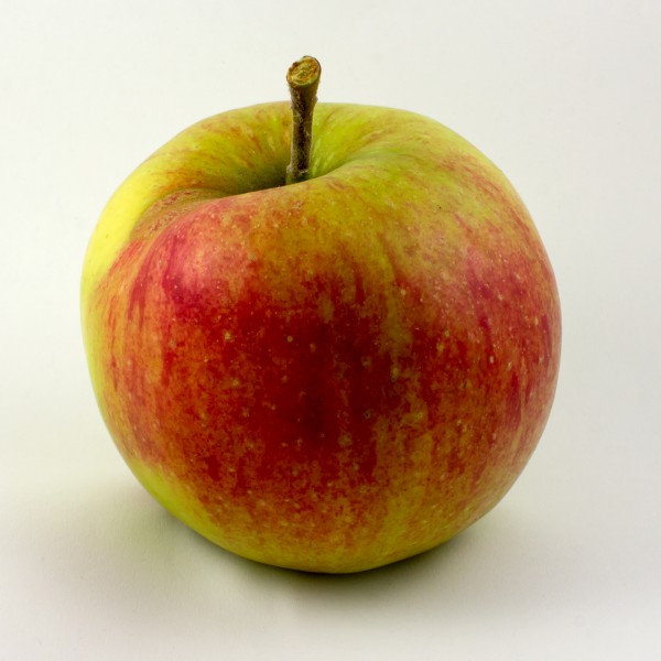 Apfel-Jonagold