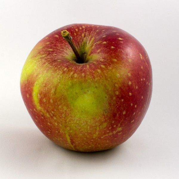 Apfel-Wellant