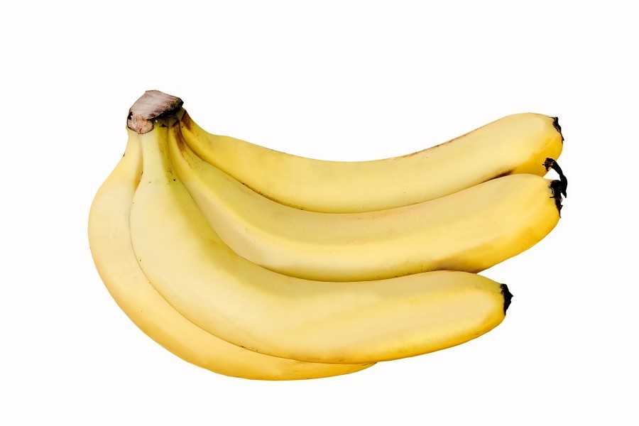 Cavendish Banana DS