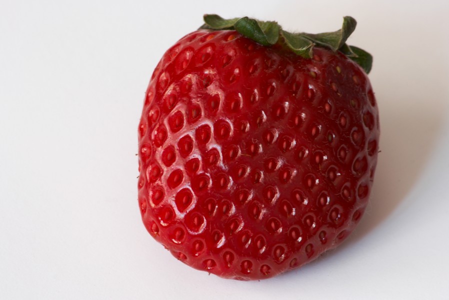 Fragaria - Frutilla - Strawberry - 20070318