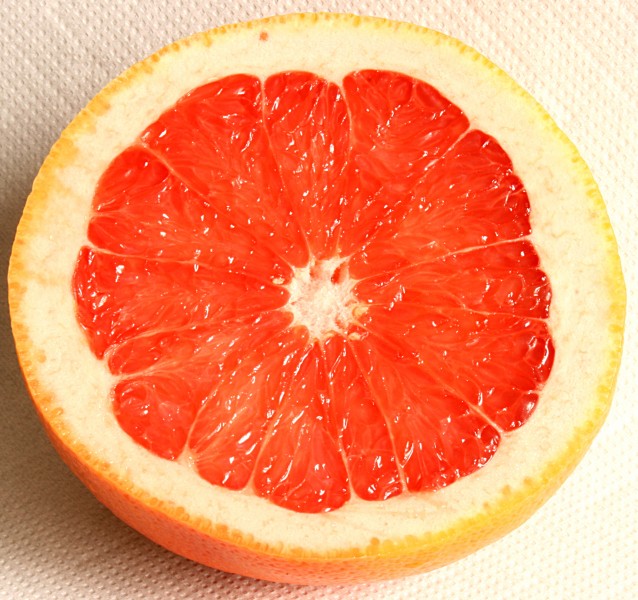 Grapefruit 2008-3-3
