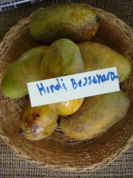 Mango HindiBessenara Asit fs8