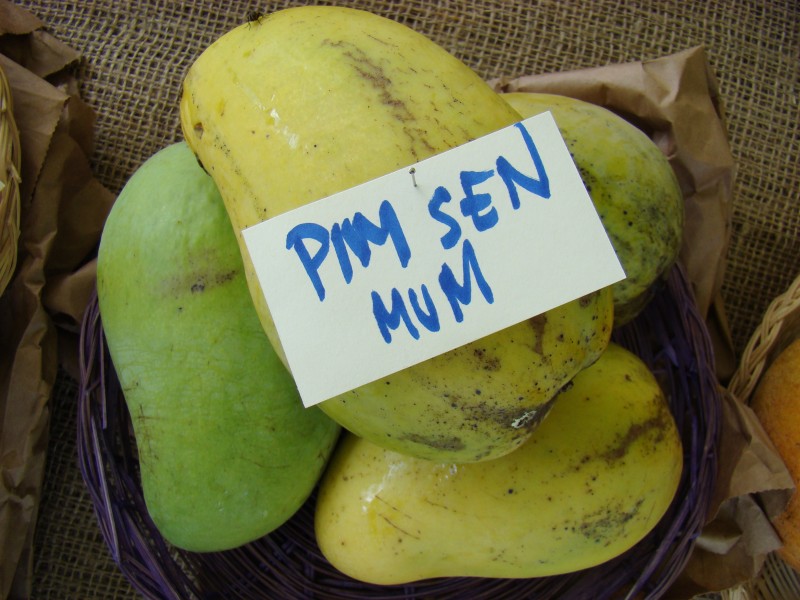 Mango PimSenMun Asit fs8