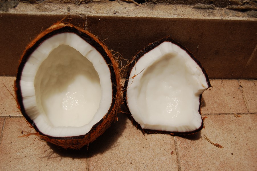 Noix de coco. Coconut.
