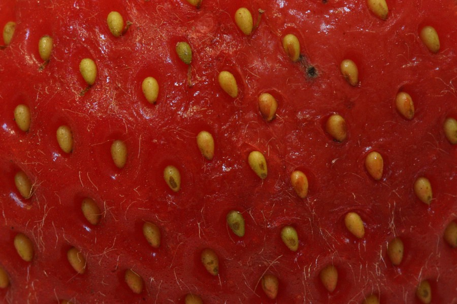 Strawberry surface closeup
