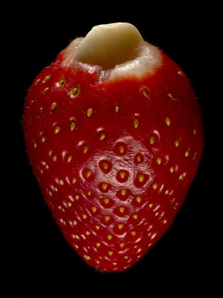 Stuffed Strawberry
