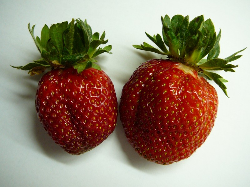 Two big strawberries