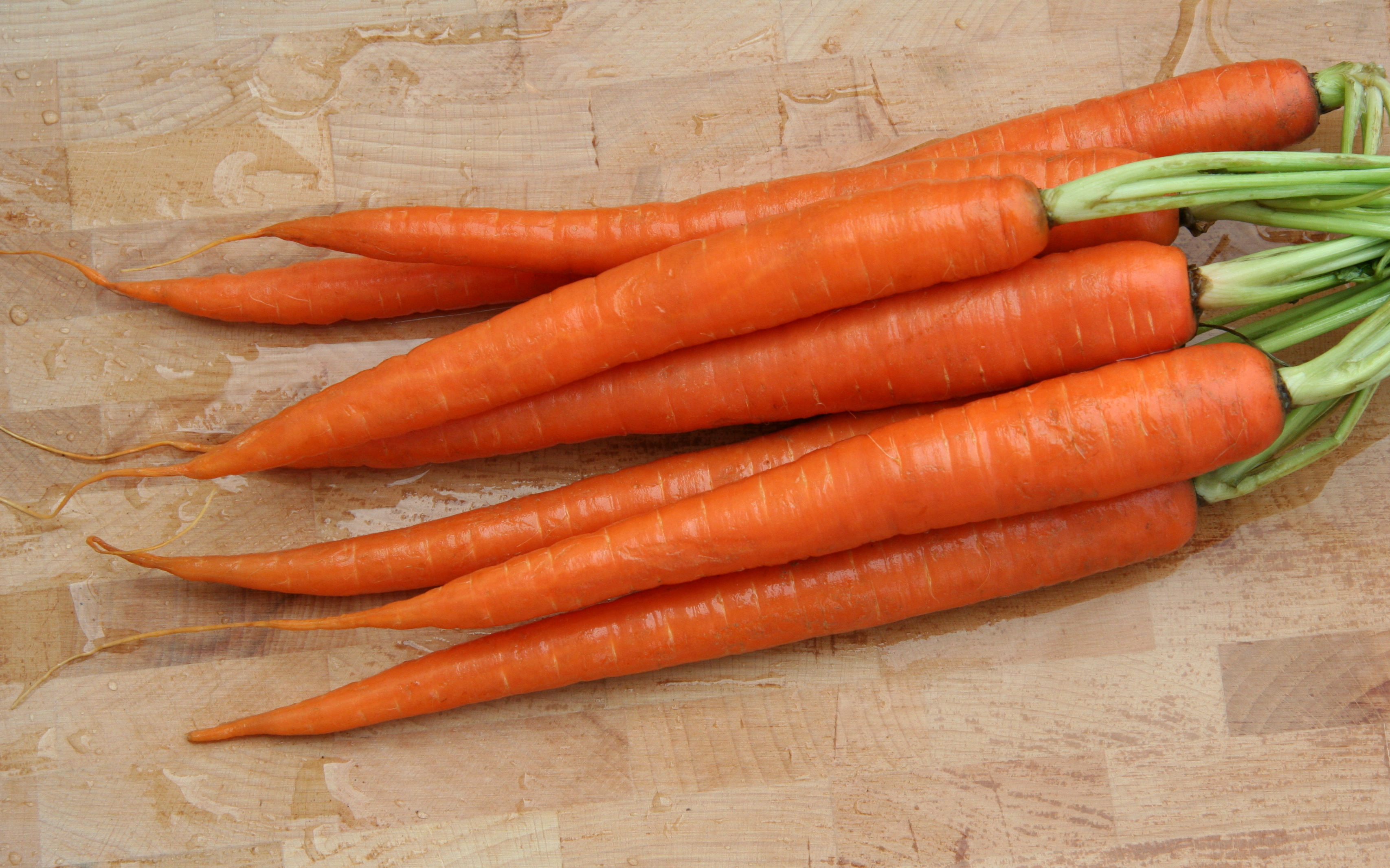 CarrotRoots