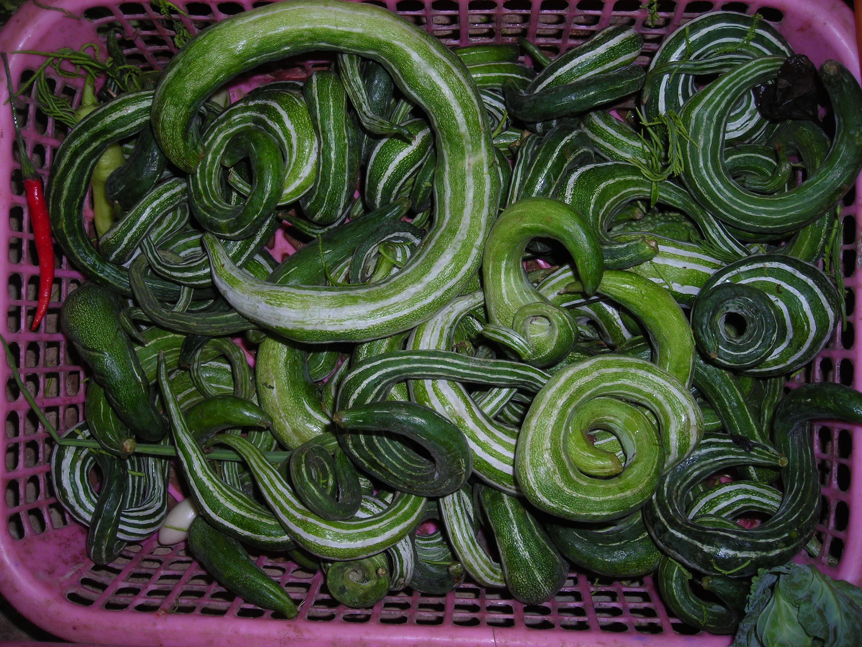 Curly cucumbers - Thailand