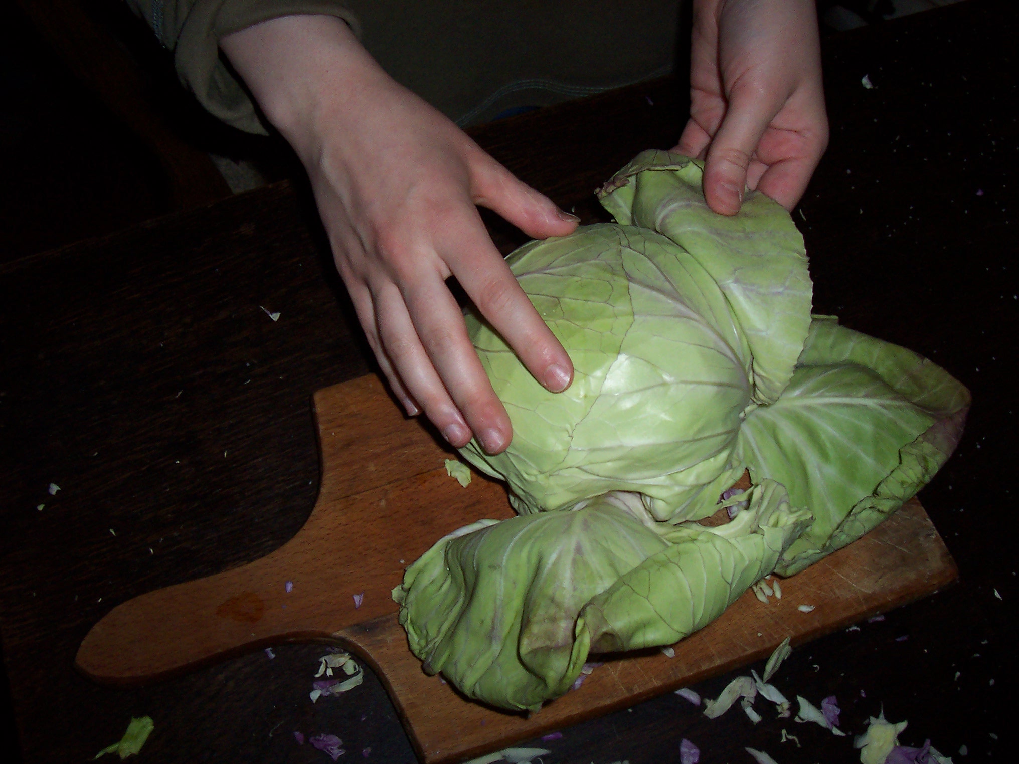 Dirty cabbage leaves removal
