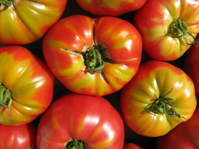 end_of_summer_tomatoes.jpg