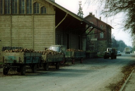 Shipment of sugar beets at the railway station of Freiberg am Neckar, October 1974