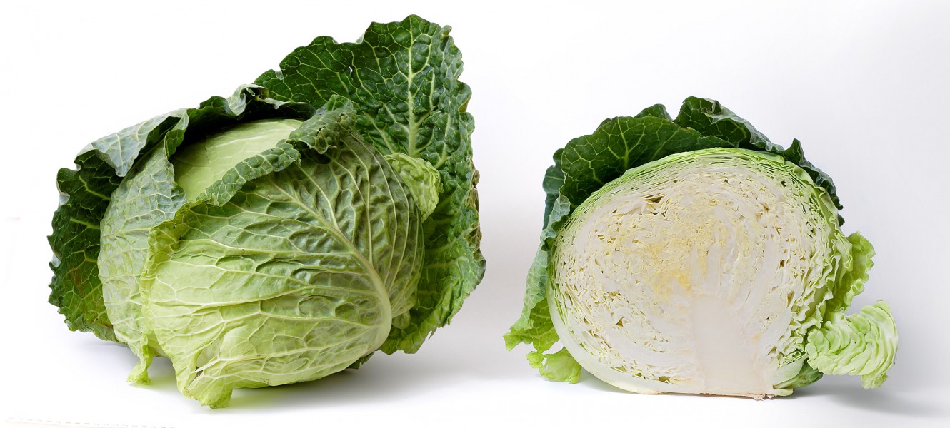 Cabbage and cross section on white
