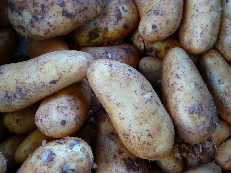 Kartoffel Atlanta