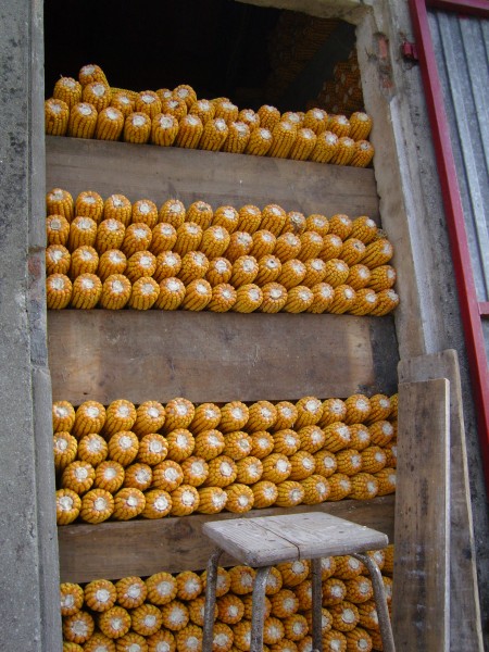 Mazarocas de millo apiñocadas, A Coruña