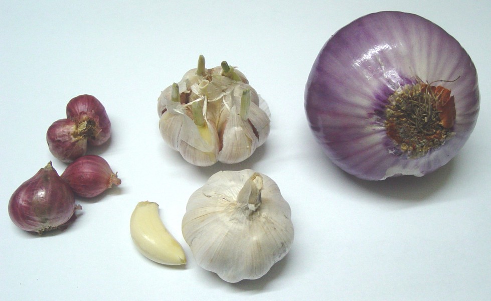 Onion-garlic-sabola