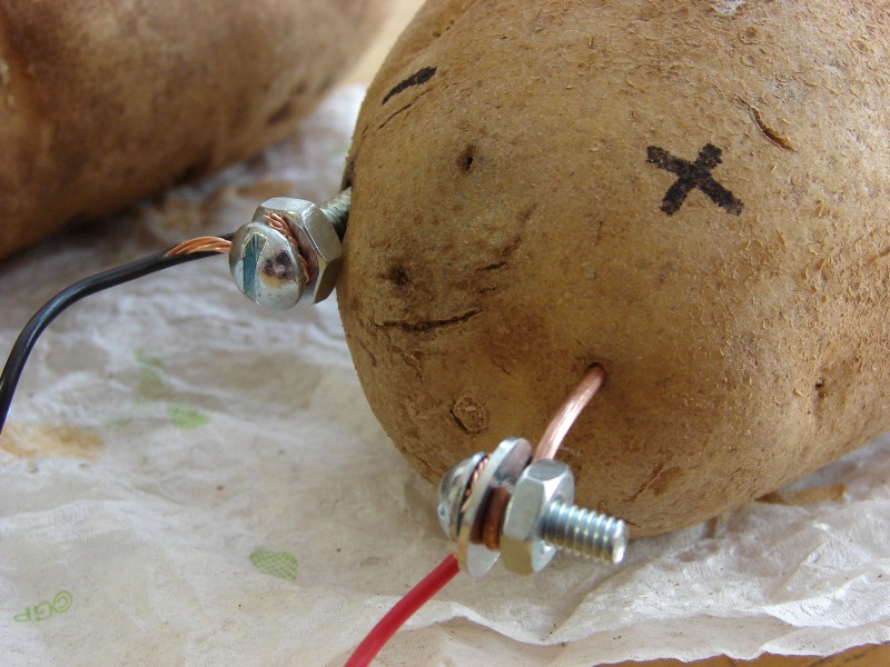 Potato-Battery-5495